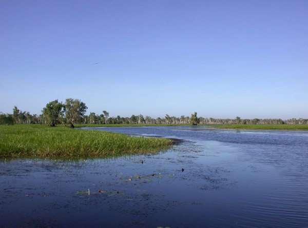 Yellow Waters Billabong